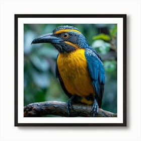 Blue And Yellow Bird 5 Art Print