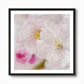 Cherry Blossoms 3 Art Print