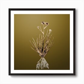 Gold Botanical Blue Corn Lily on Dune Yellow n.0986 Art Print