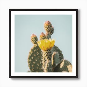 Yellow Cactus Flower Art Print