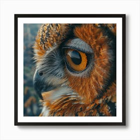 Owl Portrait Art Print