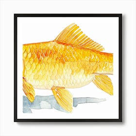 Goldfish Art Print