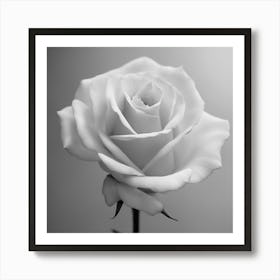 Black And White Rose 2 Art Print