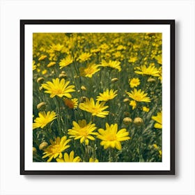 Yellow Daisies In A Field Art Print