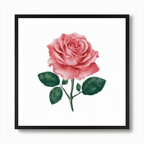 Pink Rose Art Print