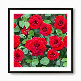 Red Roses 2 Art Print