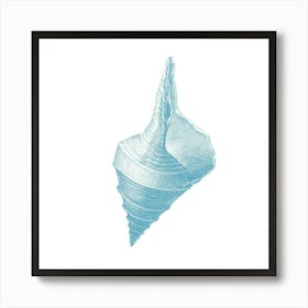 Seashell Art Print