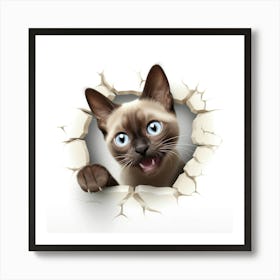 Siamese Cat 1 Art Print