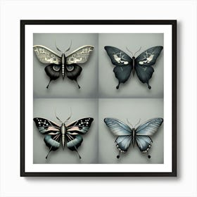 Four Butterflies Art Print