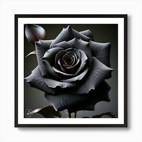 Black Roses Art Print