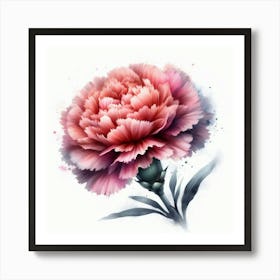 Carnation Flower 5 Art Print