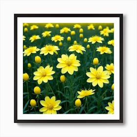 Yellow Flowers In A Field 3 Art Print