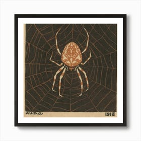 Spider On Web Art Print