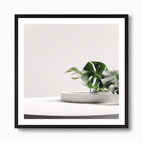 White & Monstera Product background 1 Art Print