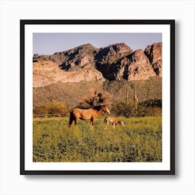 Salt River Wild Horses Art Print