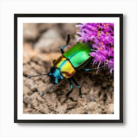 Beetle On Purple Flower Art Print