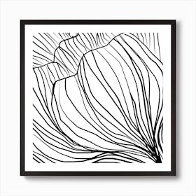 Black And White Flower Drawing Art Print
