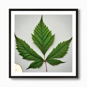 Cedar leaf 1 Art Print