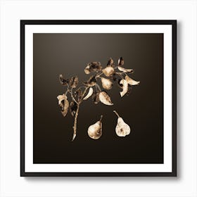 Gold Botanical Pear on Chocolate Brown n.4667 Art Print