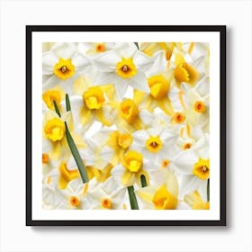 Daffodils 6 Art Print