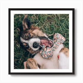 Dog Chewing On A Bone Art Print