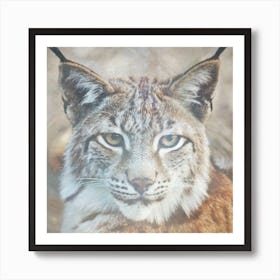 Lynx Whisperer Art Print