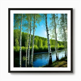 Birch Trees Art Print