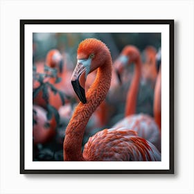 Flamingos 4 Art Print