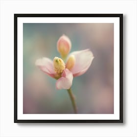 A Close Up Of A Delicate Bird Bud Just Beginning To Bloom, With Soft Petals And Hints Of Vibrant Col (2) Art Print