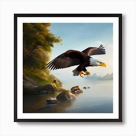 Bald Eagle Art Print