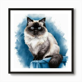 Siamese Cat 1 Art Print