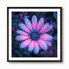 Purple Daisy Art Print