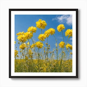 Yellow Cosmos Flowers 2 Art Print