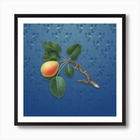 Vintage Pear Botanical on Bahama Blue Pattern n.0499 Art Print