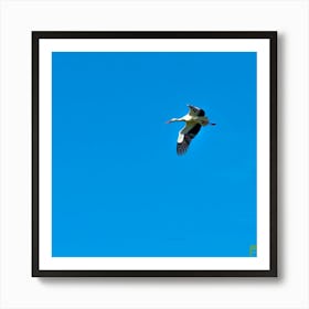 White Stork 20200301 36rt0 2 2ppub Art Print