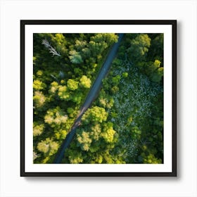 Aerial View Of A Forest Road 2 Art Print