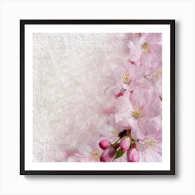 Pink Cherry Blossoms Art Print