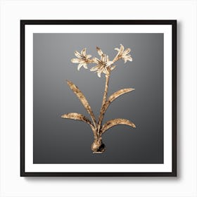 Gold Botanical Amaryllis on Soft Gray n.0330 Art Print