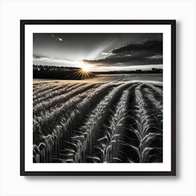 Sunset Over A Wheat Field 13 Art Print