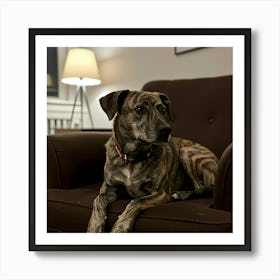 Dog Sitting In Chair Art Print