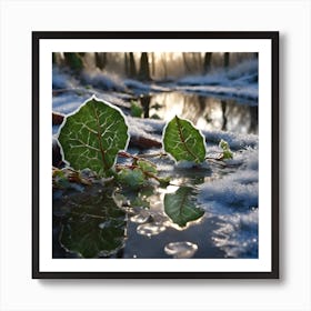 Ivy on Icy Pond Art Print