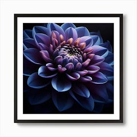 Indigo Dahlia, Macro Photography Art Print