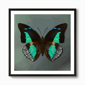 Mechanical Blue Butterfly The Doxocopa Cherubina On A Grey Background Art Print