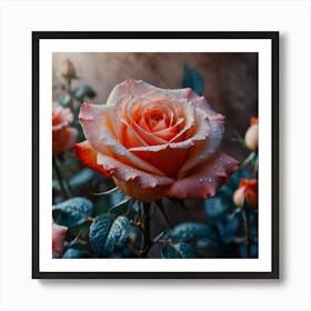 Roses In The Rain Art Print