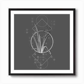 Vintage Crimean Iris Botanical with Line Motif and Dot Pattern in Ghost Gray n.0238 Art Print