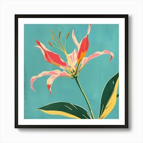 Gloriosa Lily 3 Square Flower Illustration Art Print
