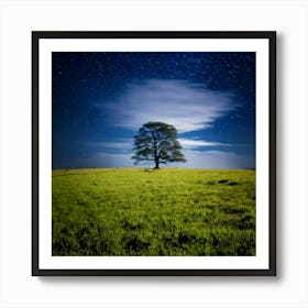 Firefly 8k, Top Quality, Live Action, Center, Night Sky, Darkness, Meadow, Plateau, Single Tree, Sea (3) Art Print