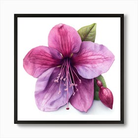 Fuchsia Flower 1 Art Print