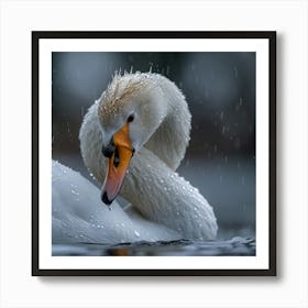 Swan In The Rain 1 Art Print