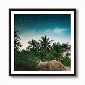 Palm Trees Starry Sky Stones Wallpaper 1024x1024 Art Print